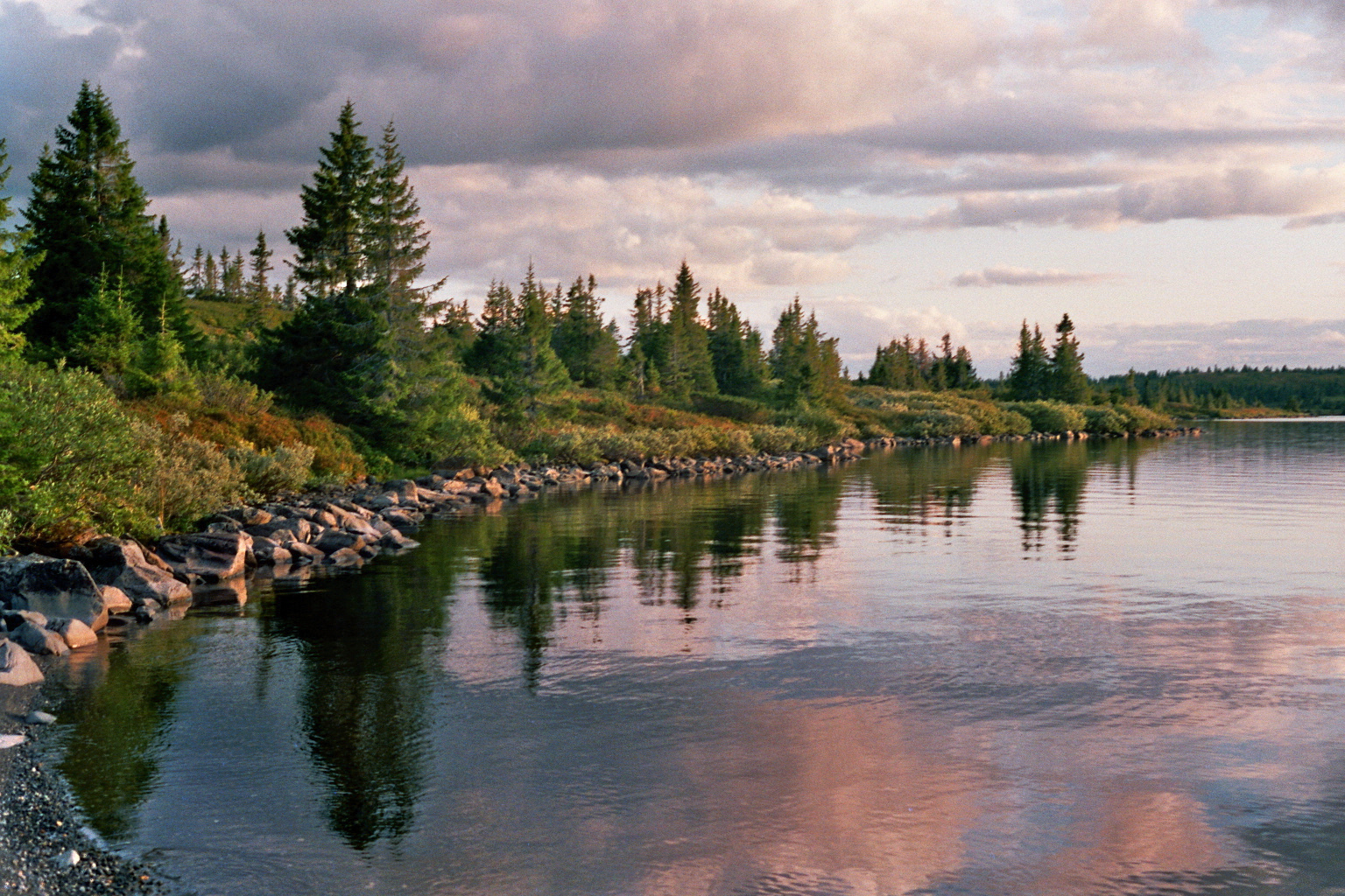 Fiske i Lillehammerfjellet
