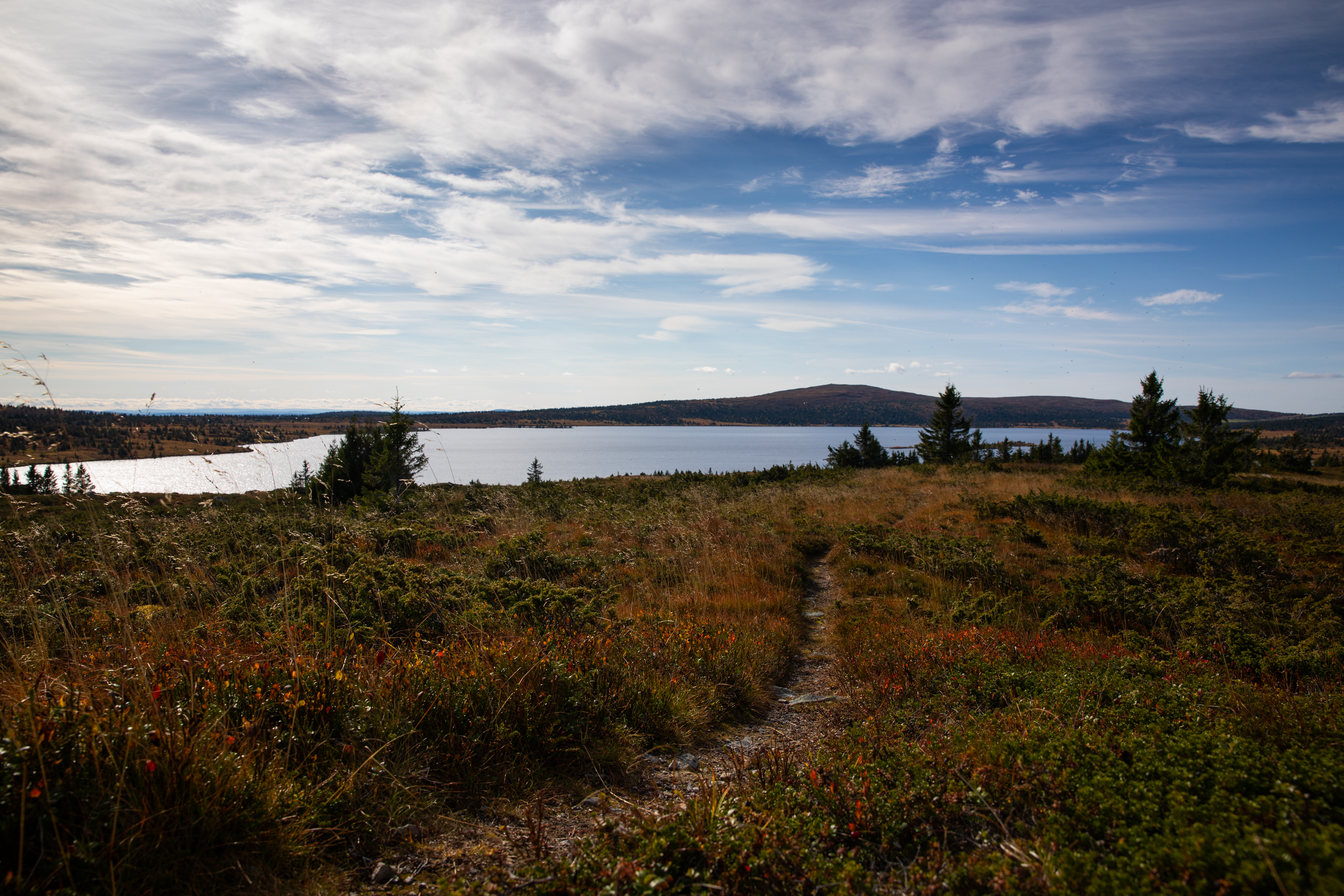 Bildet viser turstier på Nordseter i høstfarger med Nevelvann i bakgrunnen