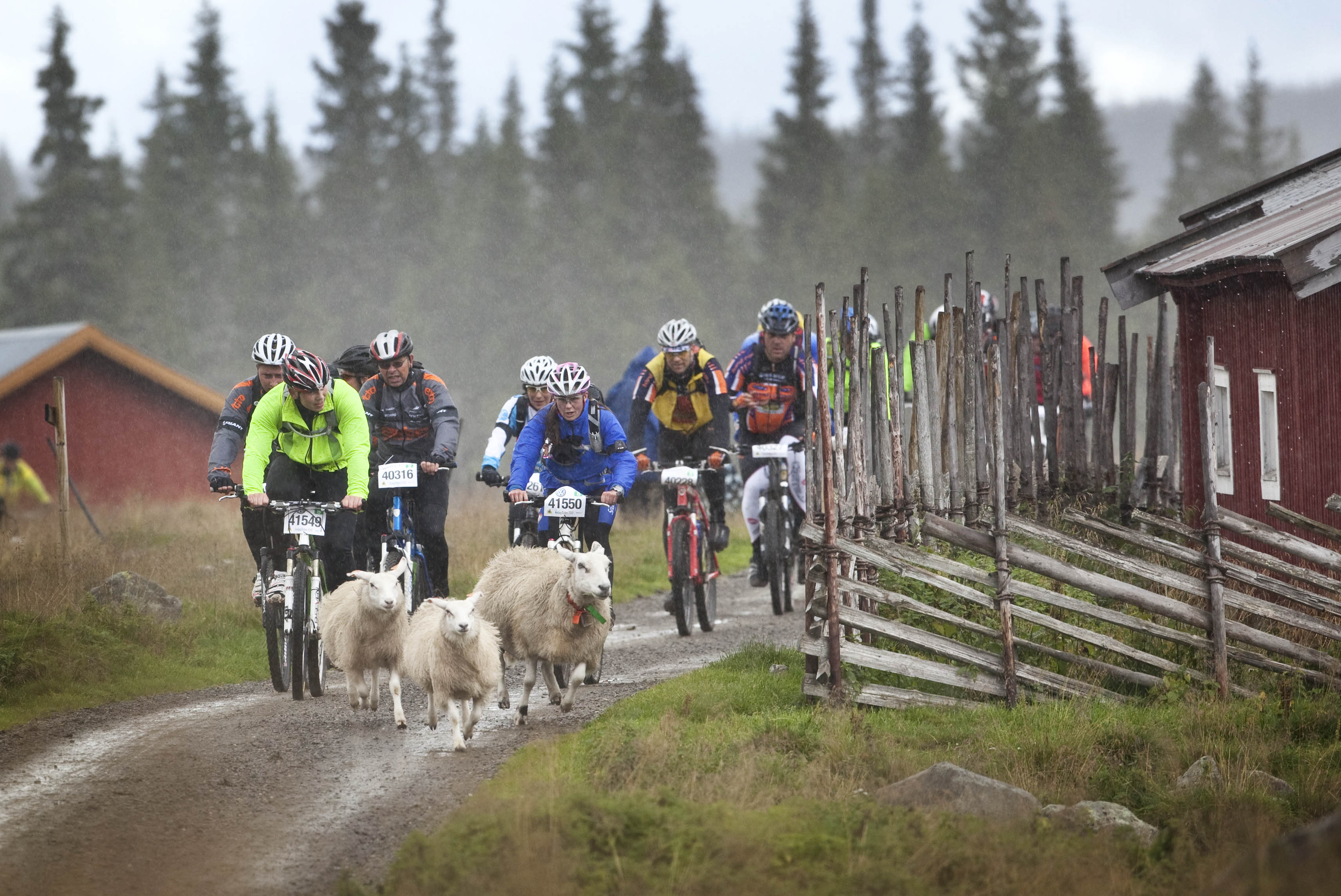 syklister som sykler et sykkelritt i fjellet