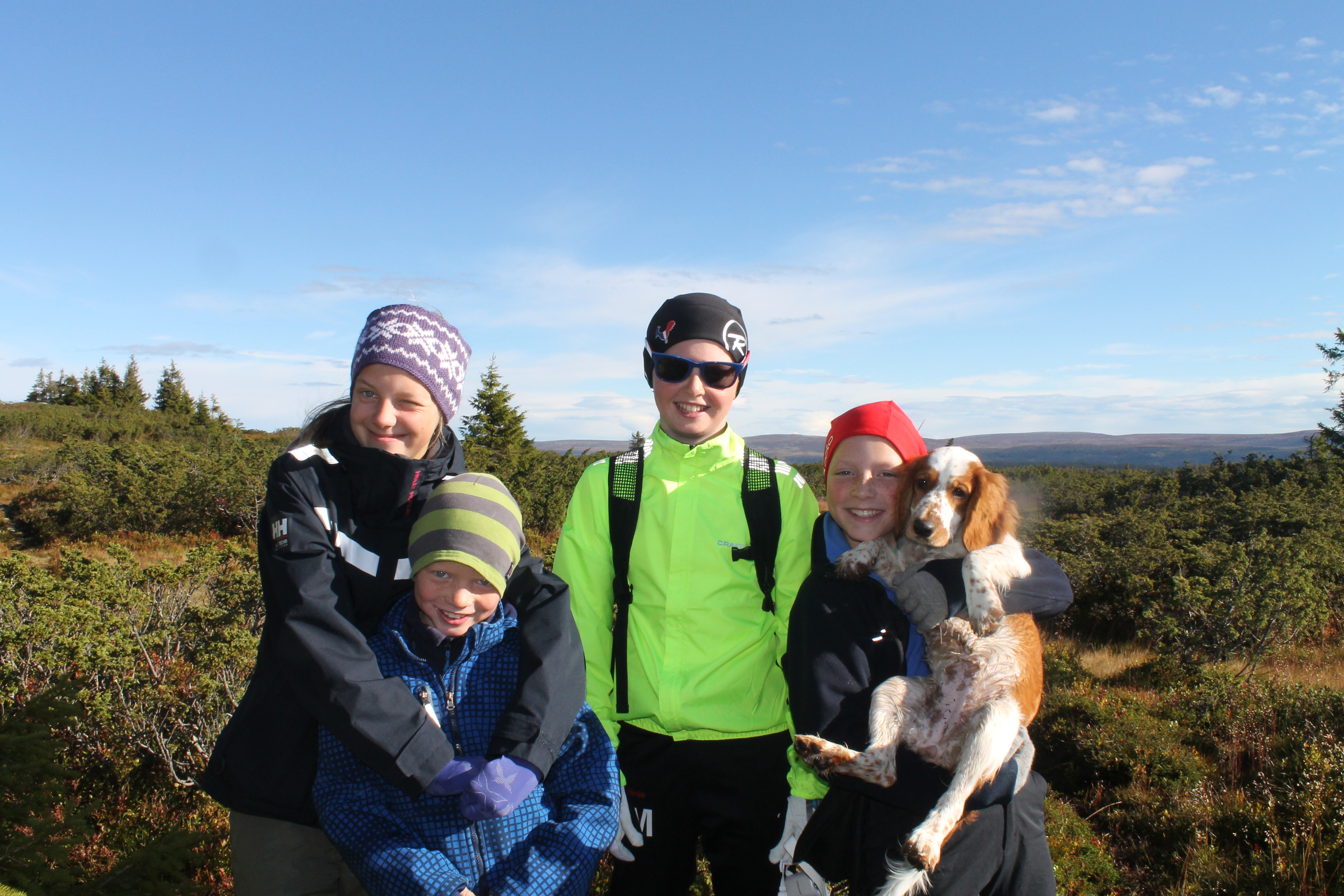 glade barn og en hund i fjellet på Nordseter