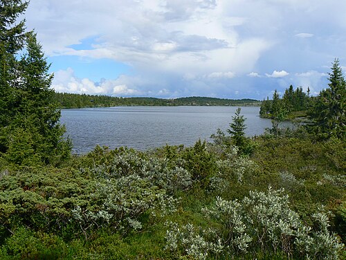 Nevelvannet fra vest