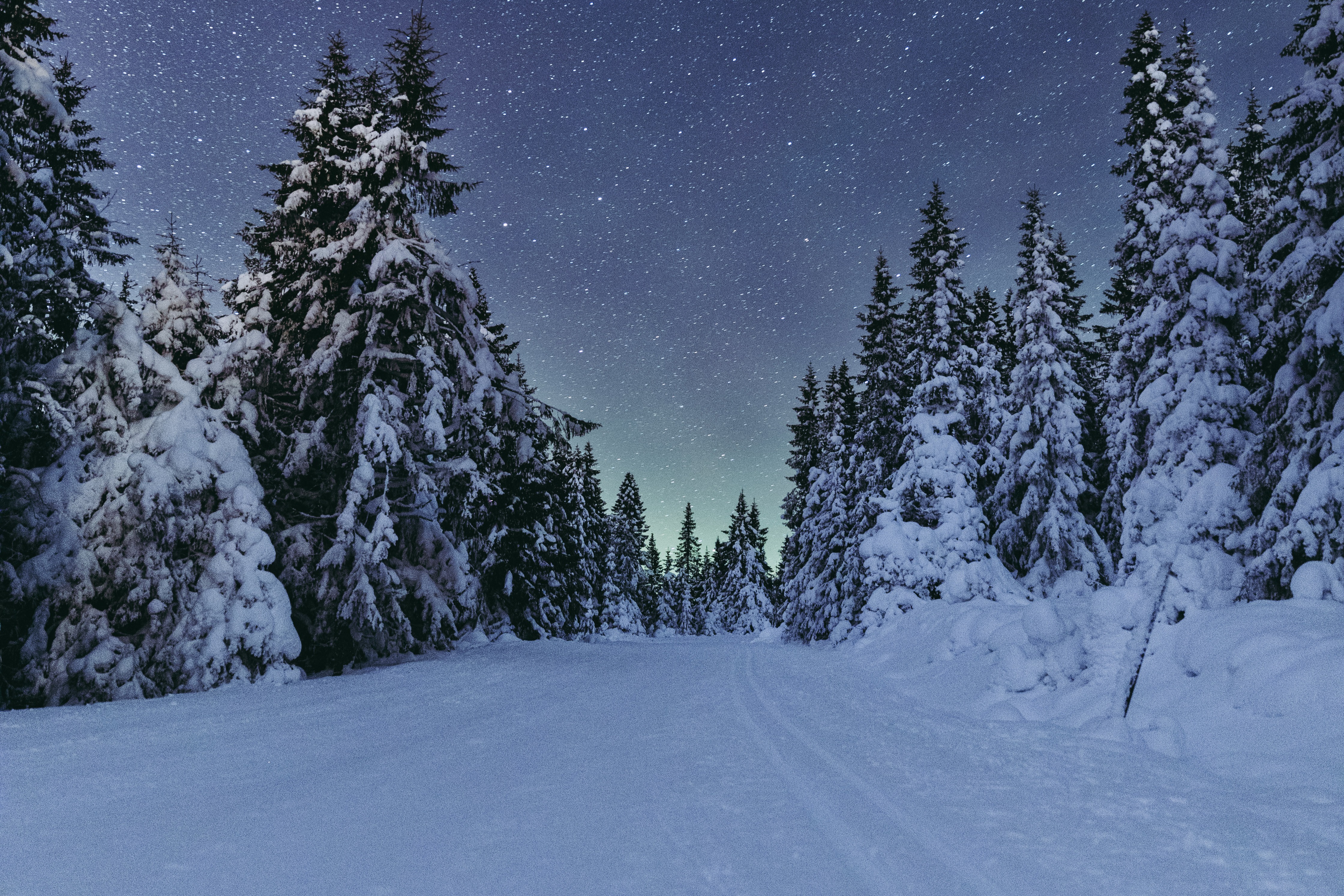 Nordlys over Nordseter