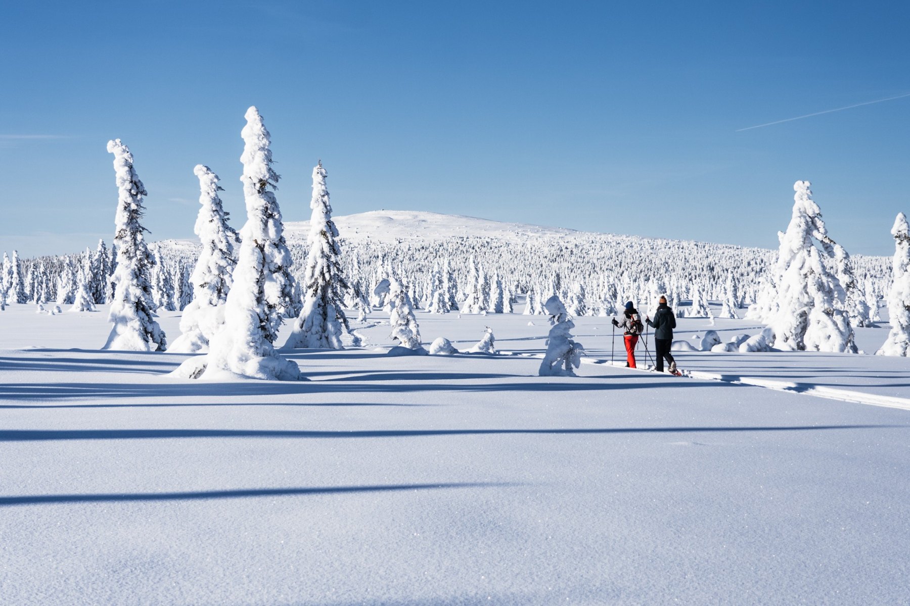 Deltakere på trugetur i snødekt fjellandskap med SWIG