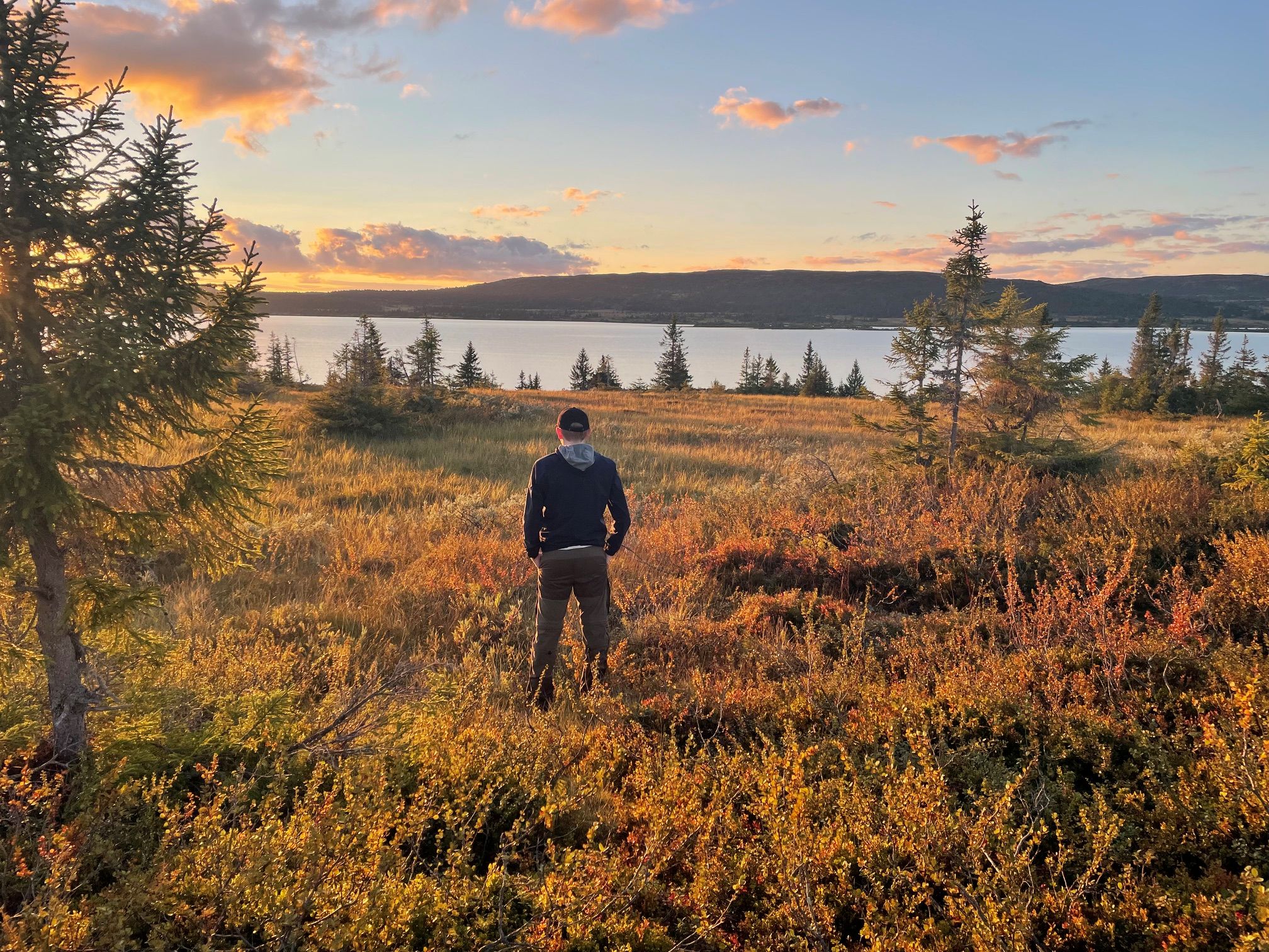 Fine myrer på Nordseter
