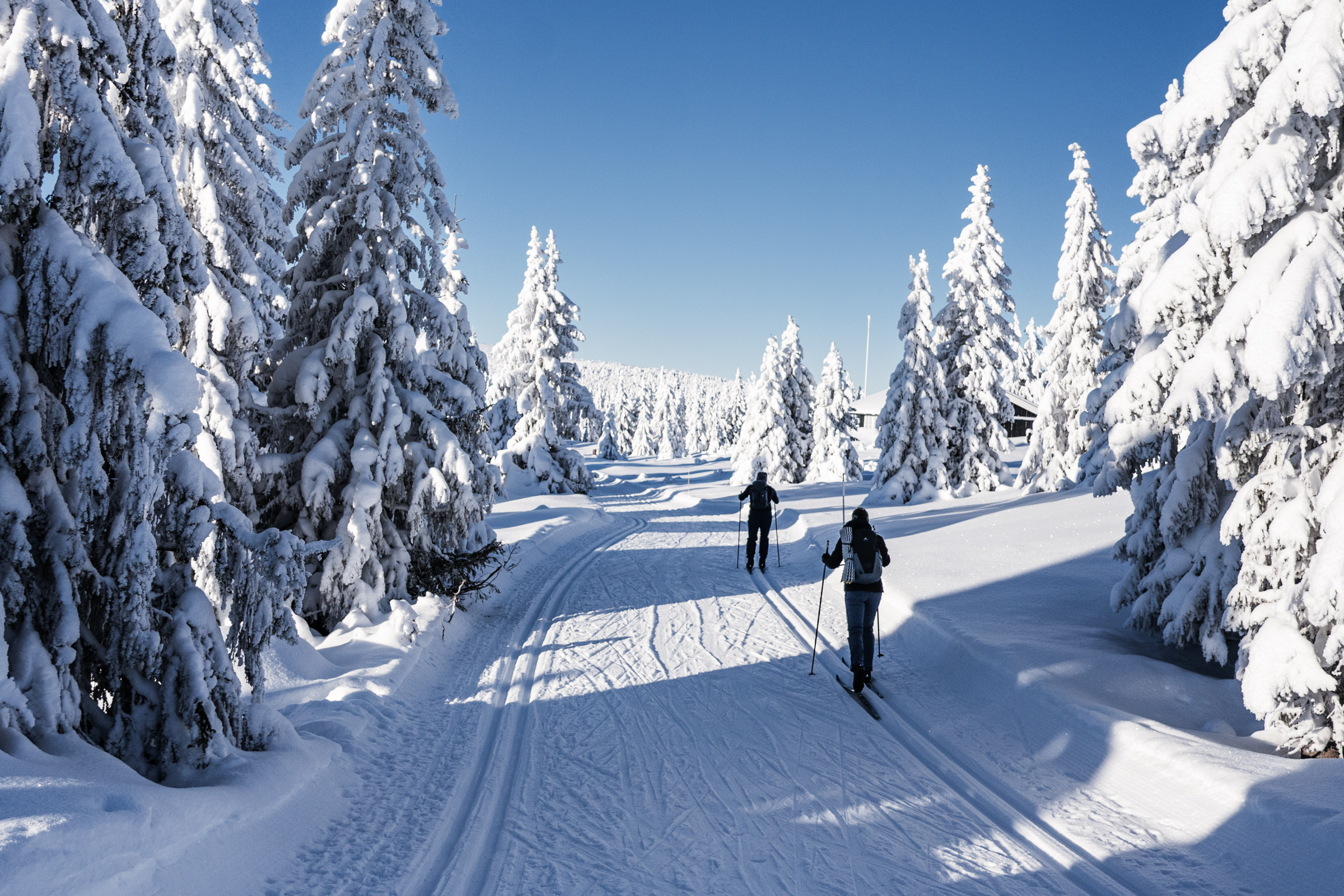 2 personers som går på ski i snødekket landskap
