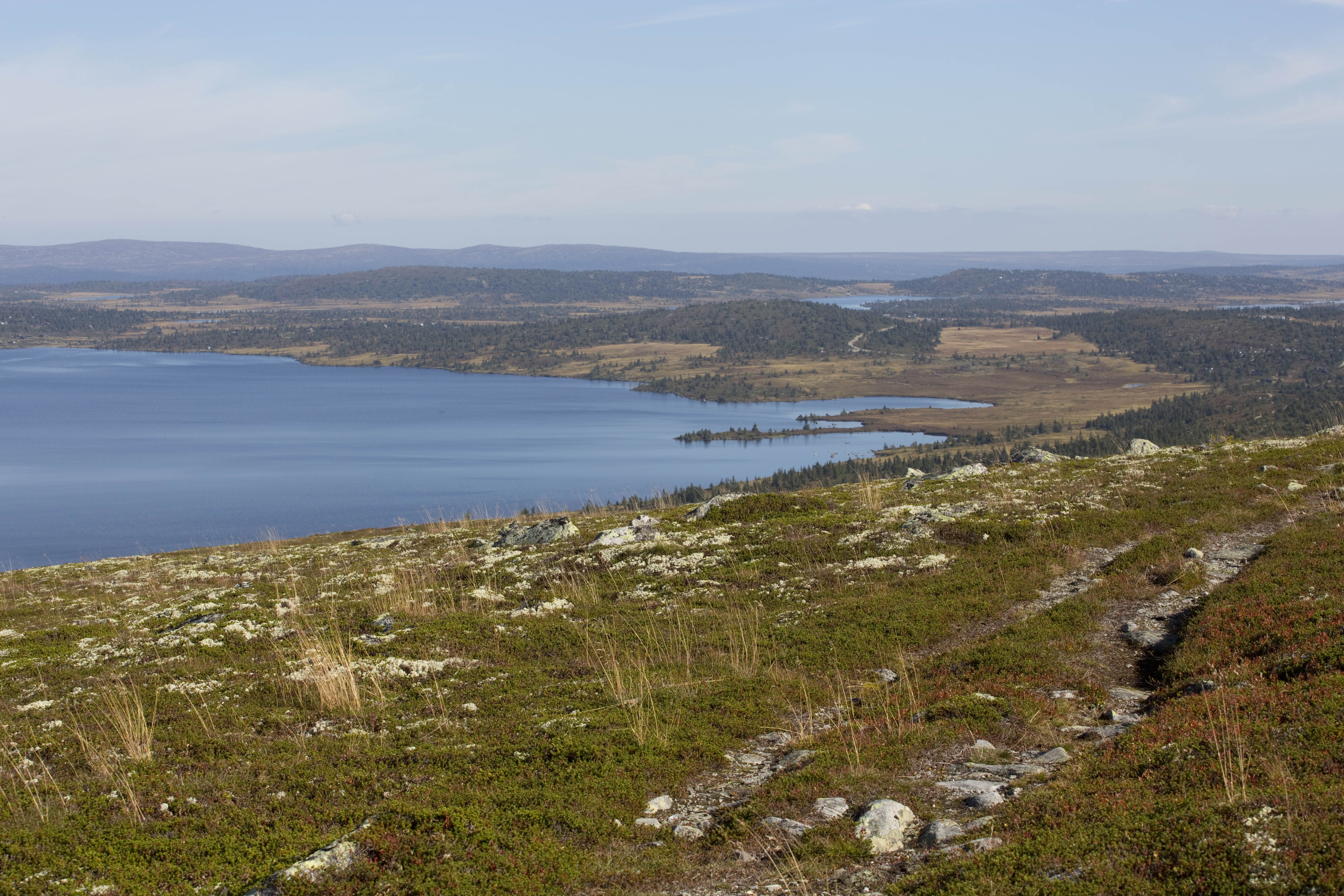 Bildet viser utsikt fra Neveltoppen sommer