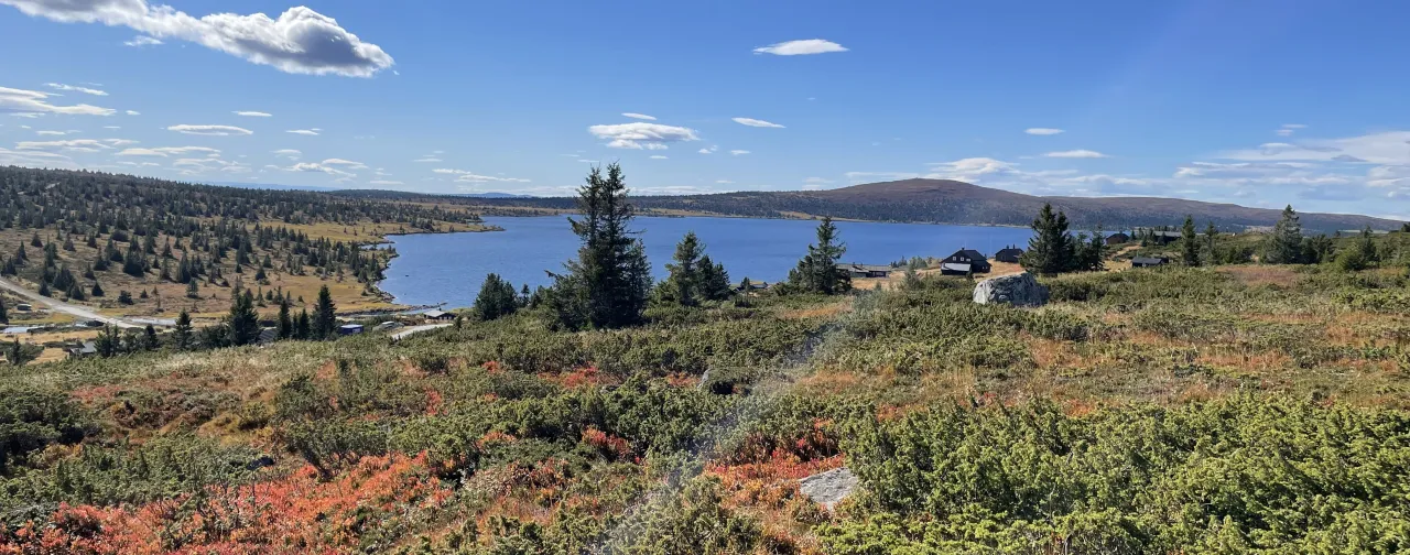 Høst i Lillehammerfjellet ved Lillehammer Fjellstue
