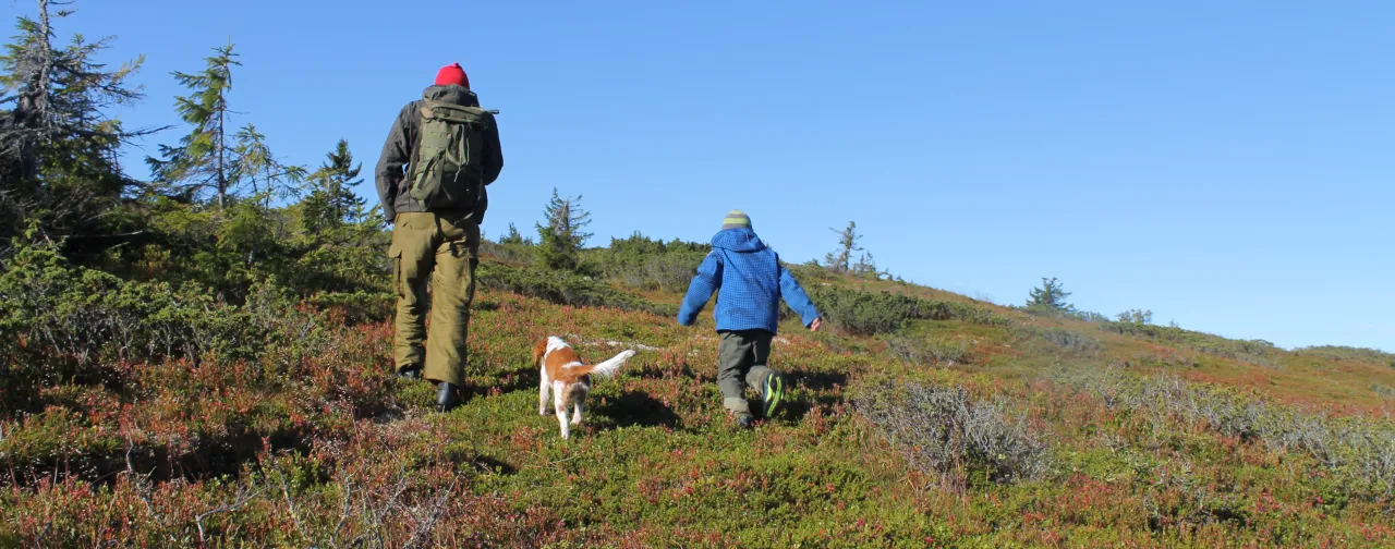 mann og liten gutt med hund på tur i fjellet i høstfarger