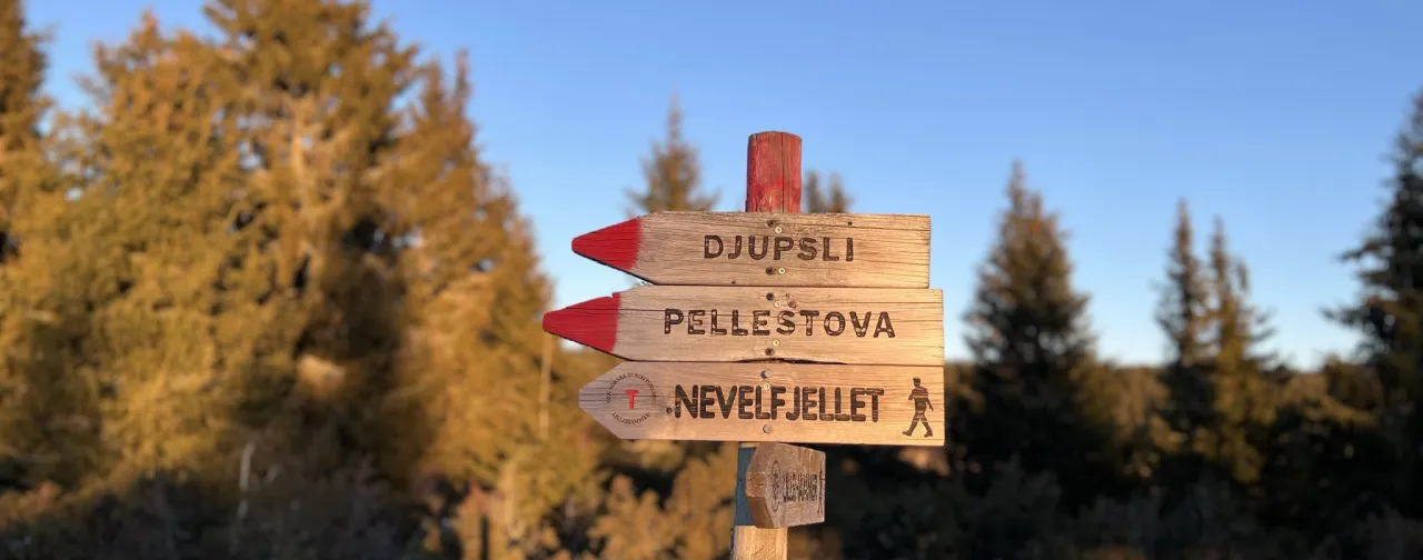 Et nærbilde av en trestolpe