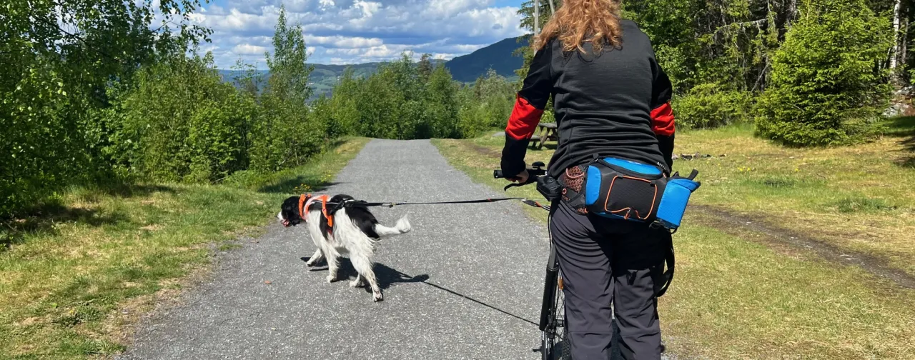 Hund som trekker en sparkesykkel med en jente på