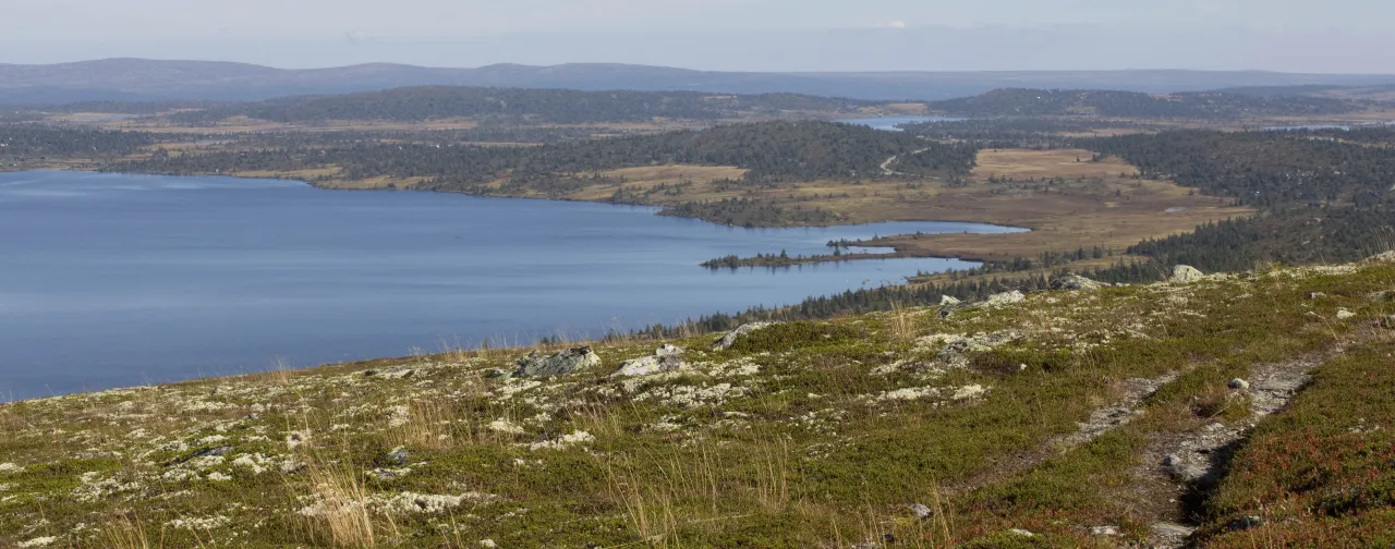 Bildet viser utsikt fra Neveltoppen sommer