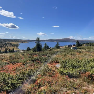 Høst i Lillehammerfjellet ved Lillehammer Fjellstue