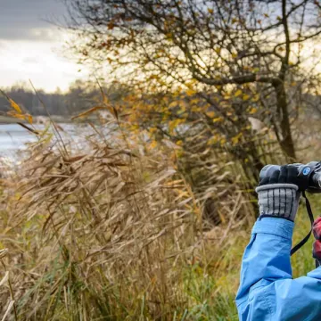 person som ser etter fugler med kikkert
