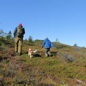mann og liten gutt med hund på tur i fjellet i høstfarger