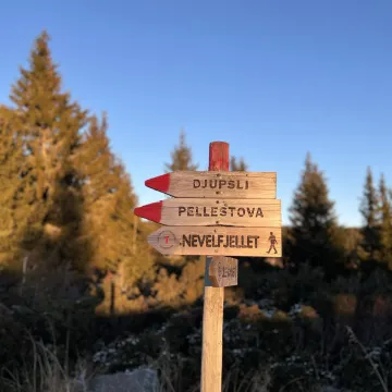 Et nærbilde av en trestolpe