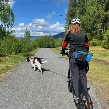Hund som trekker en sparkesykkel med en jente på