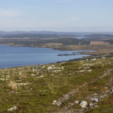 Bildet viser utsikt fra Neveltoppen sommer