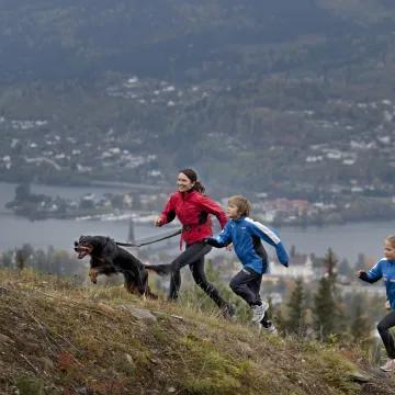Familie med hund som løper i terrenget i Lillehammer