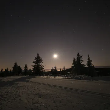 Skiløyper i måneskin på Nordseter
