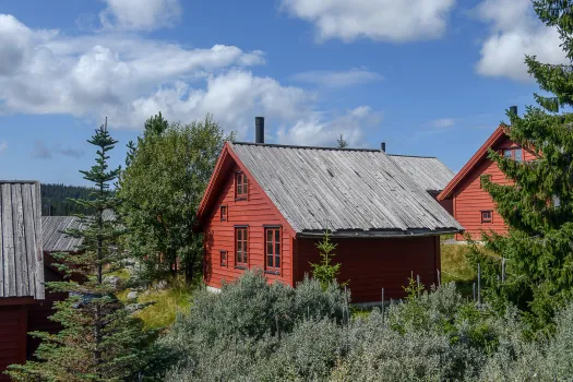 en rød utleiehytte på Nordseter hus med trær og busker
