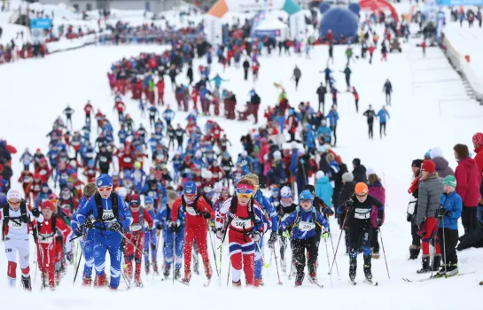 Skiløypere som går birkebeinerrennet