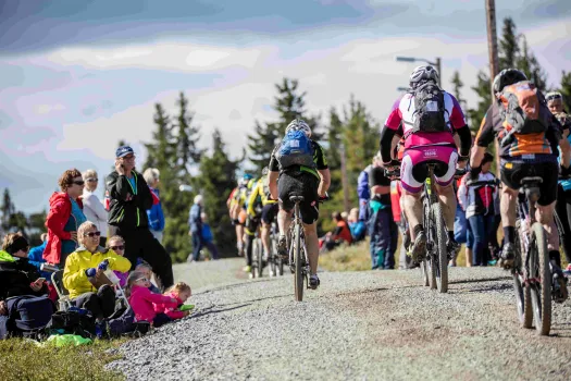 Syklister som sykler Birkebeinerrittet fra Rena til Lillehammer