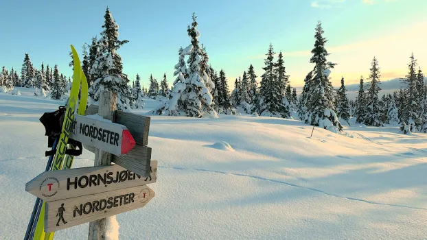Treskilt ved skiløype med langrennsski i snø, omgitt av snødekte grantrær under klar himmel i sollys.