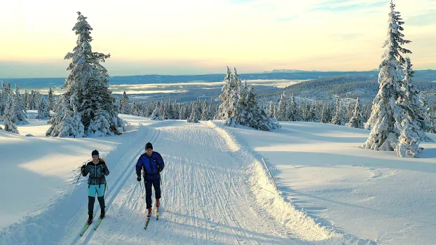 To skiløpere går langrenn på et preparert spor gjennom snødekte grantrær, med fjell og vinterhimmel i bakgrunnen.