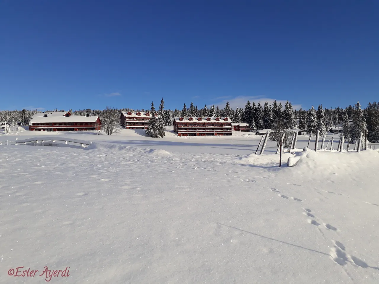 Snølandskap med store røde bygg og blå himmel