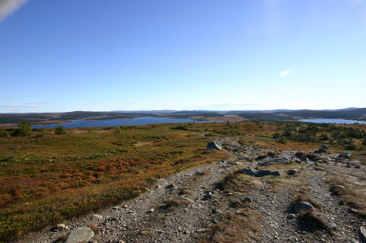 Neveltoppen i vakre høstfarger
