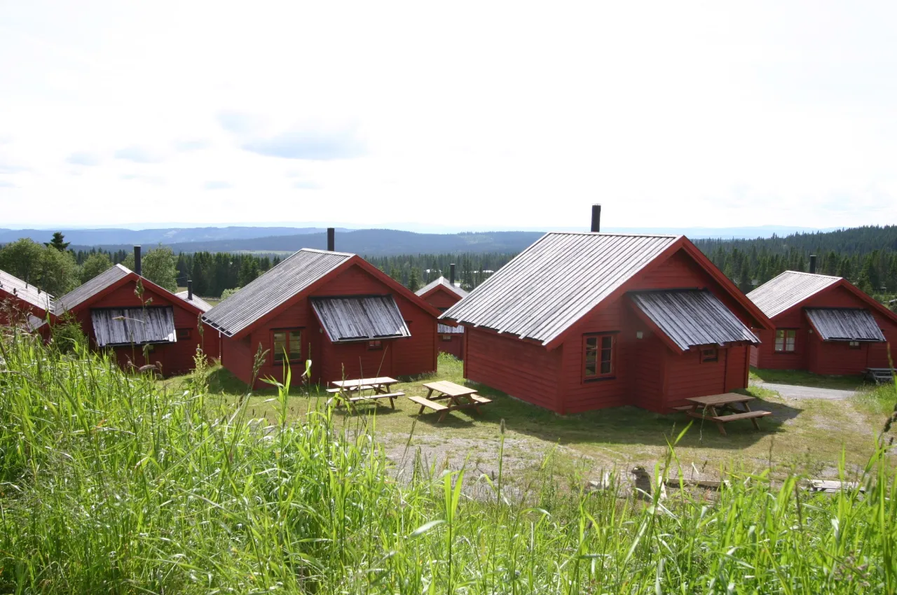 En gruppe røde hus i et gresskledd område