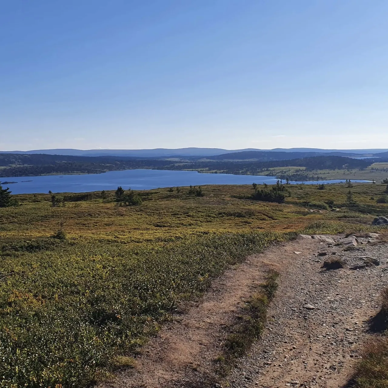 en grusvei i et gresskledd område med en vannmasse i bakgrunnen