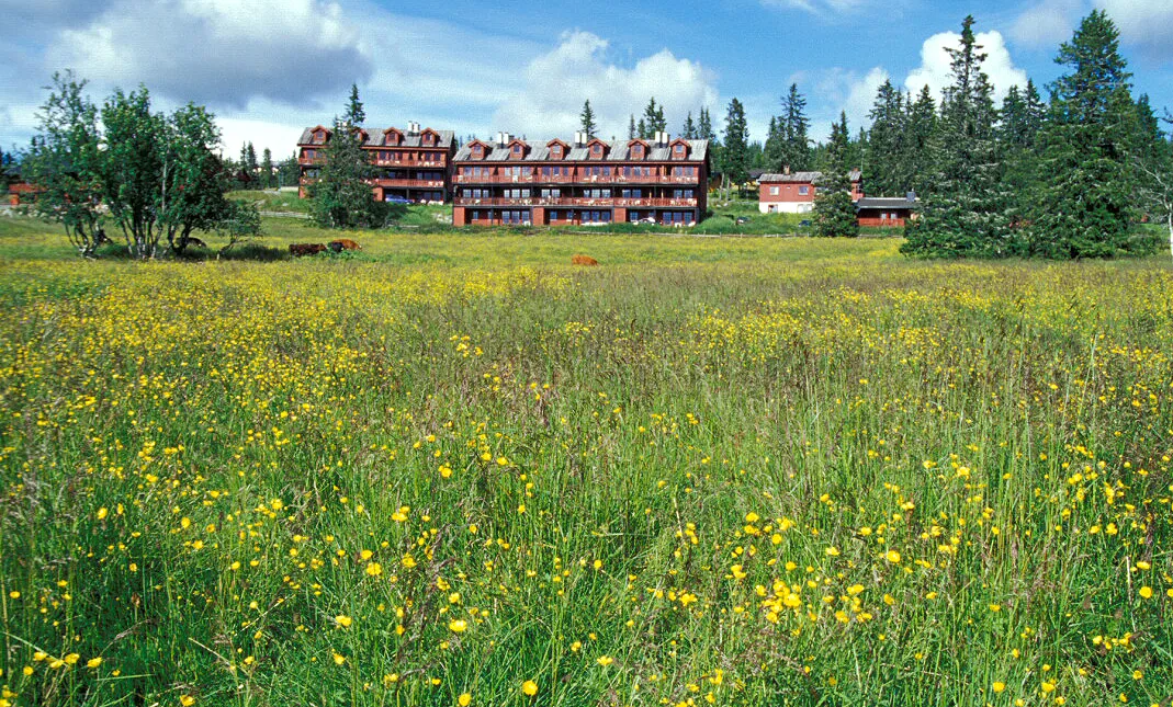 stor rød bygning i blomstereng