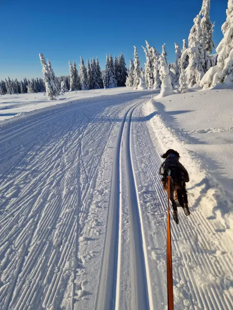 på tur med kick spark