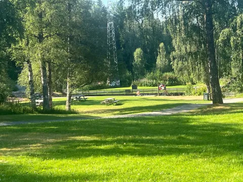 Grønn park med trær, plen, piknikbord og en svingende gangsti i sollys, med gjerde og skog i bakgrunnen.