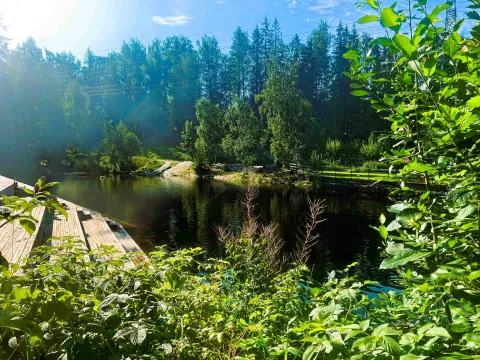 Solbelyst elv med refleksjoner, tett skog i bakgrunnen og grønt løv i forgrunnen ved en treplattform.