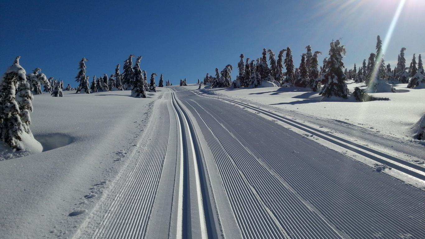 cross country ski tracks in Nordseter some of the best in the world