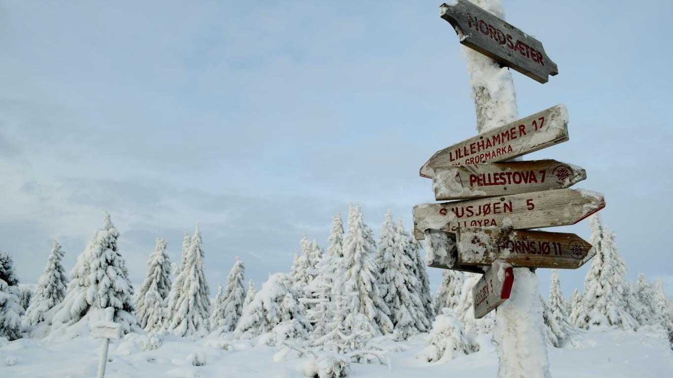 Hvilke løyper skal vi velg? i Skiservice hjelper vi deg med gode tips til dagens skitur ut i fra vær og føremelding