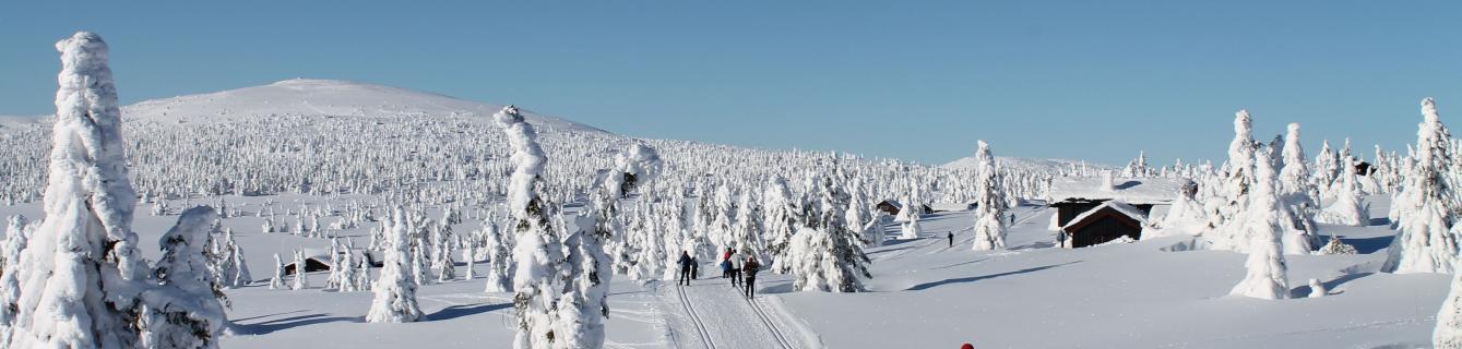 Skitur på Nordseter gir ro i sjelen
