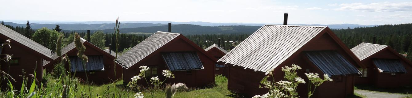 Overnatting i Lillehammer hytteutleie